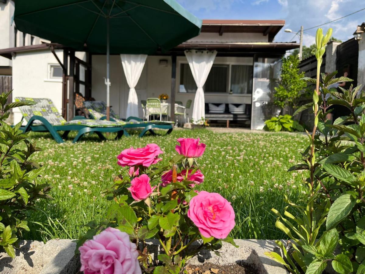 Charmante Petite Maison Transylvanie Villa Săcele Exterior foto